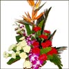 Innocence Beauty - Click here to View more details about this Product